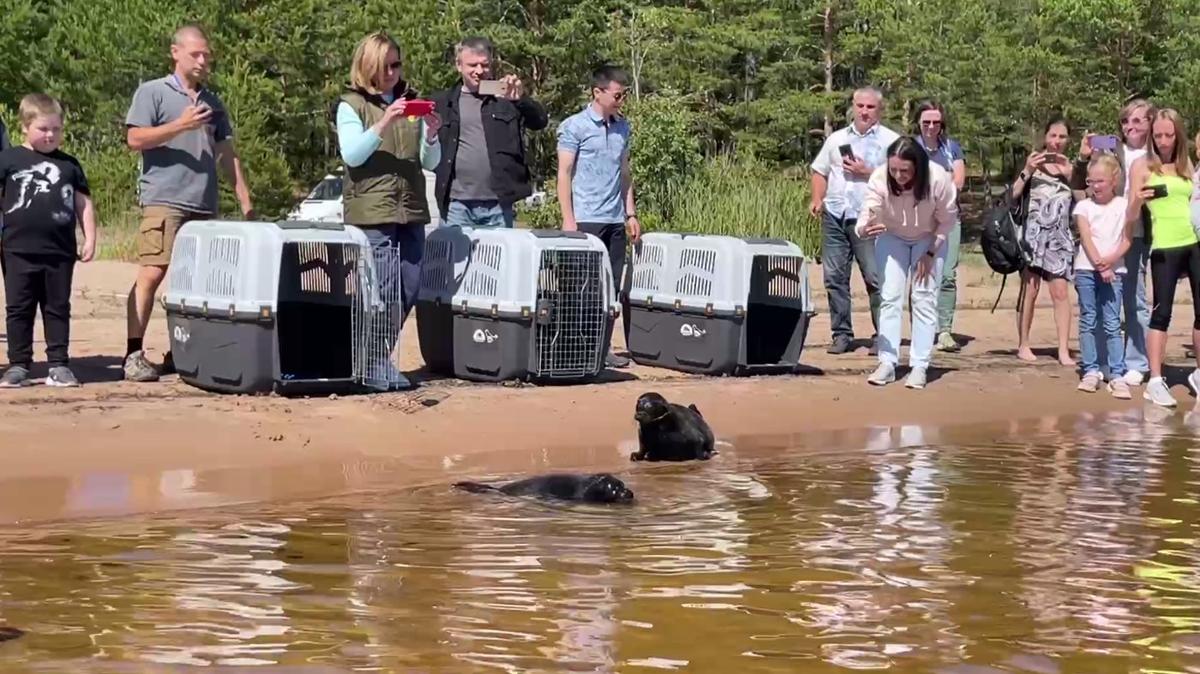 Фото: скриншот видео от ГУП «Водоканал Санкт-Петербурга»