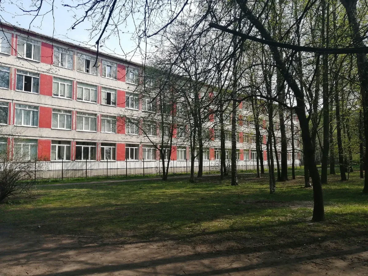 Деревья в сквере у школы № 121 Фото: предоставлено местной жительницей