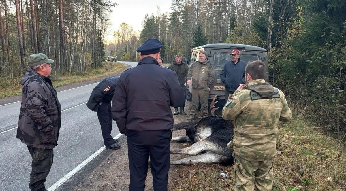Фото: Дирекция ООПТ Ленобласти