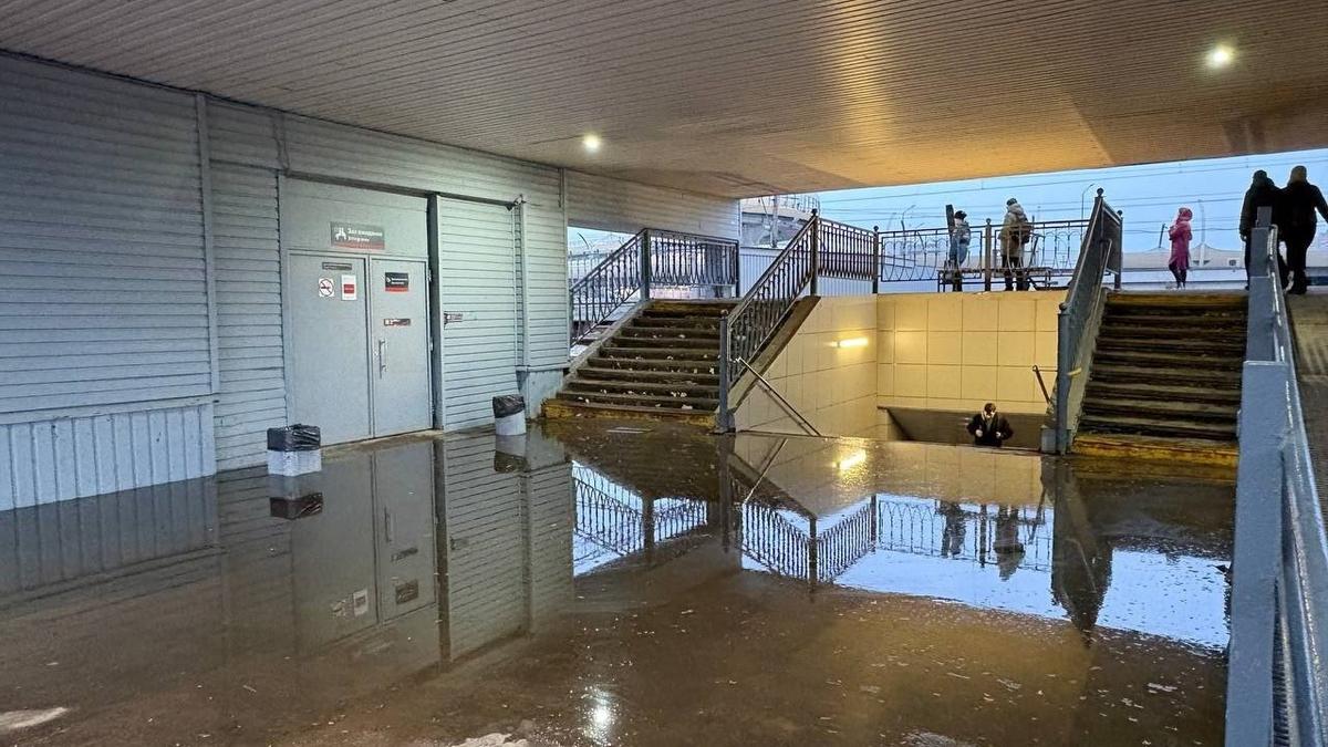 Фото: «Мегаполис»