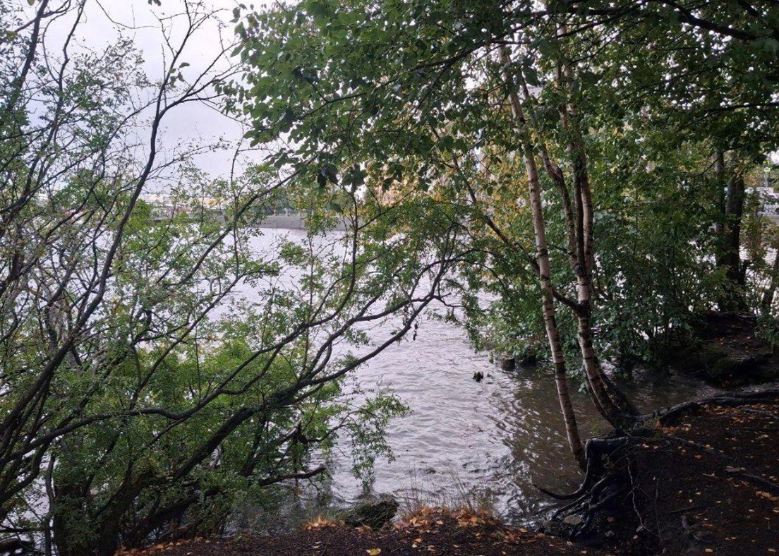 Фото: КГИОП