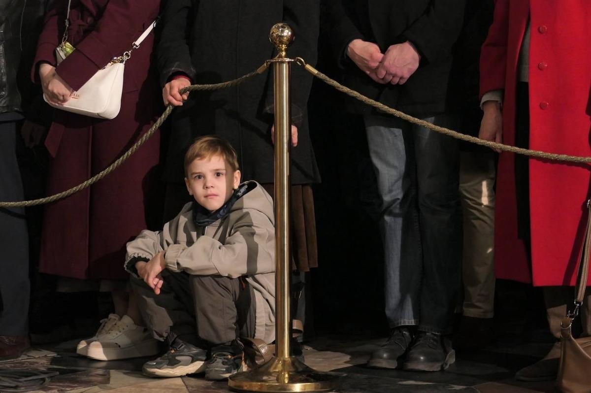 Фото: Дарья Дмитриева / МР7