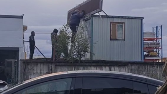 Скриншот видео: комитет по печати Петербурга