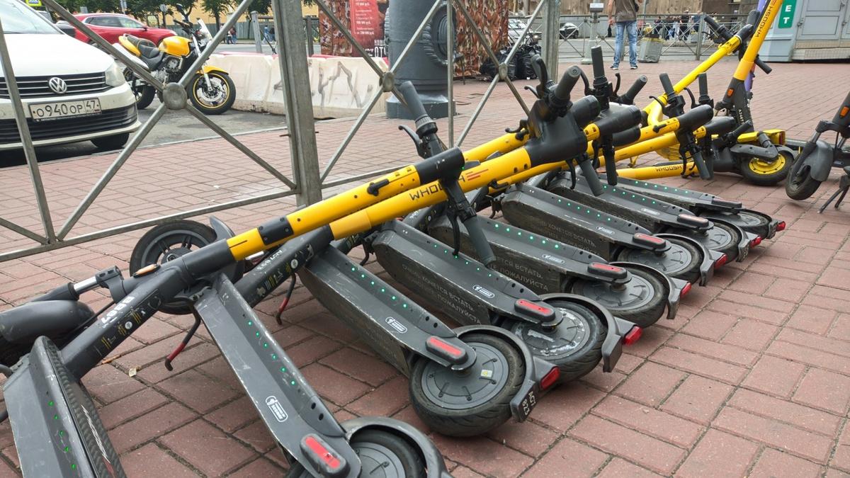 Фото: Дмитрий Абрамов / МР7