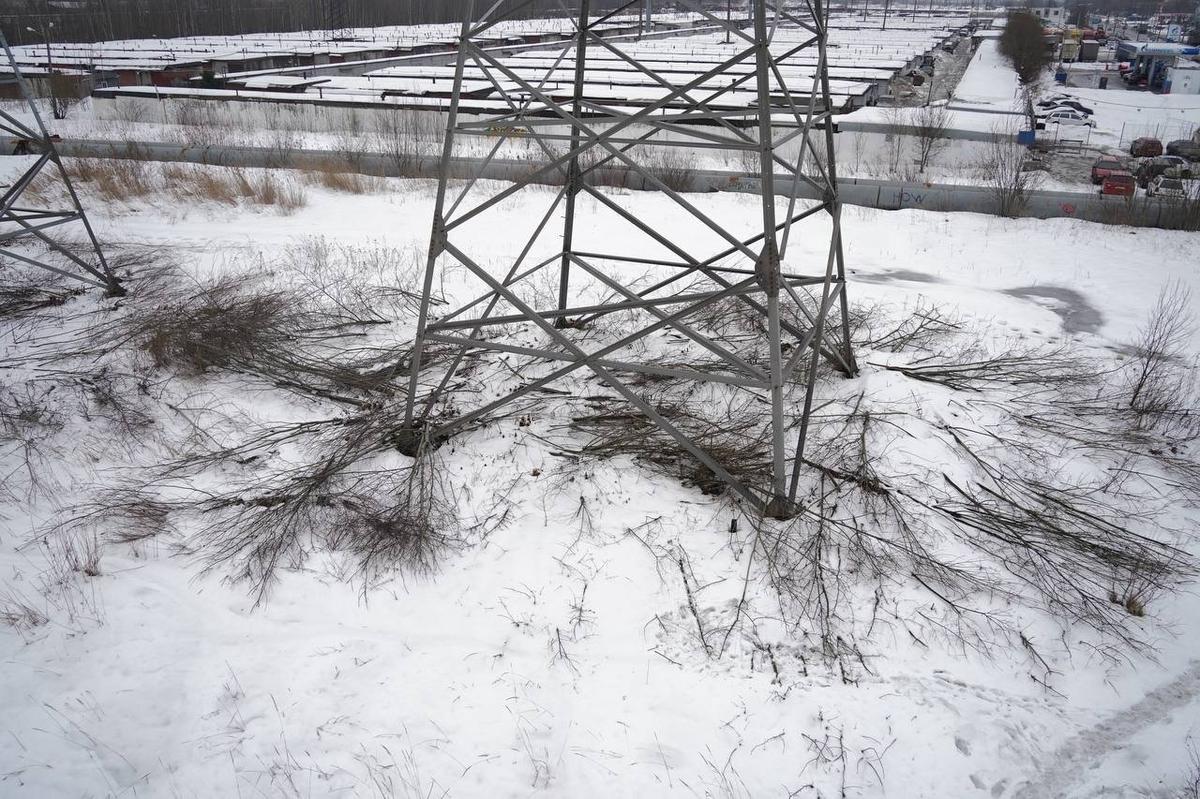 Фото: Павел Борисенко / MR7