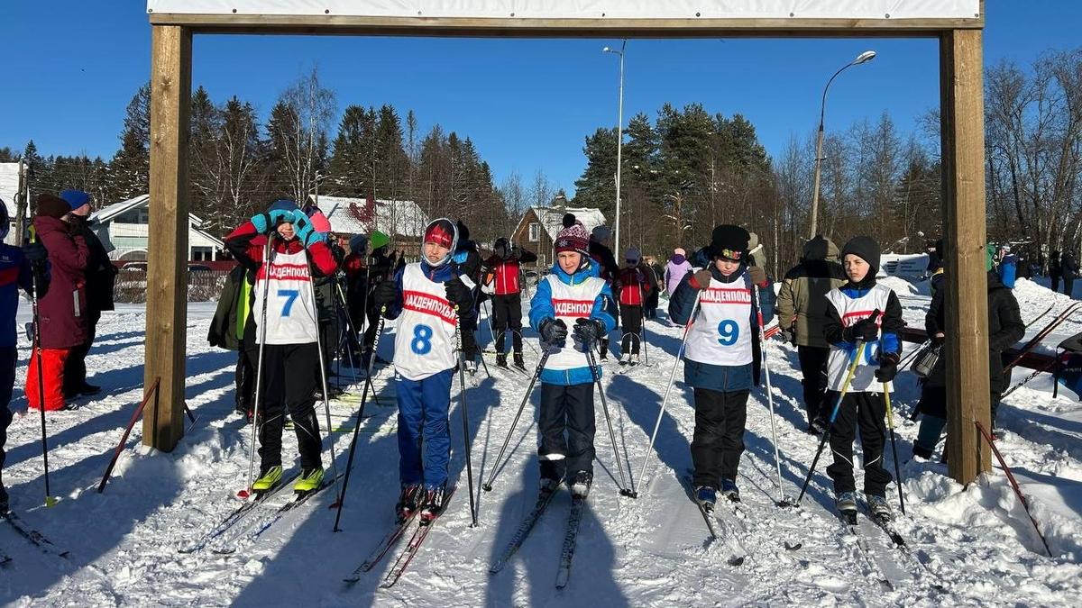 Фото: предоставлено пресс-службой «Ладога Фест»