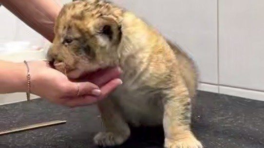 Скриншот видео: telegram-канал «Экология — дело каждого!»