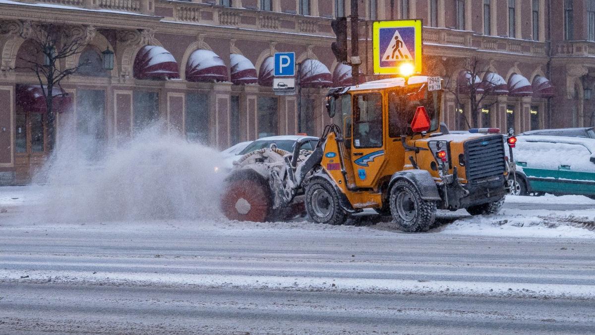 Фото: Олег Золото / MR7