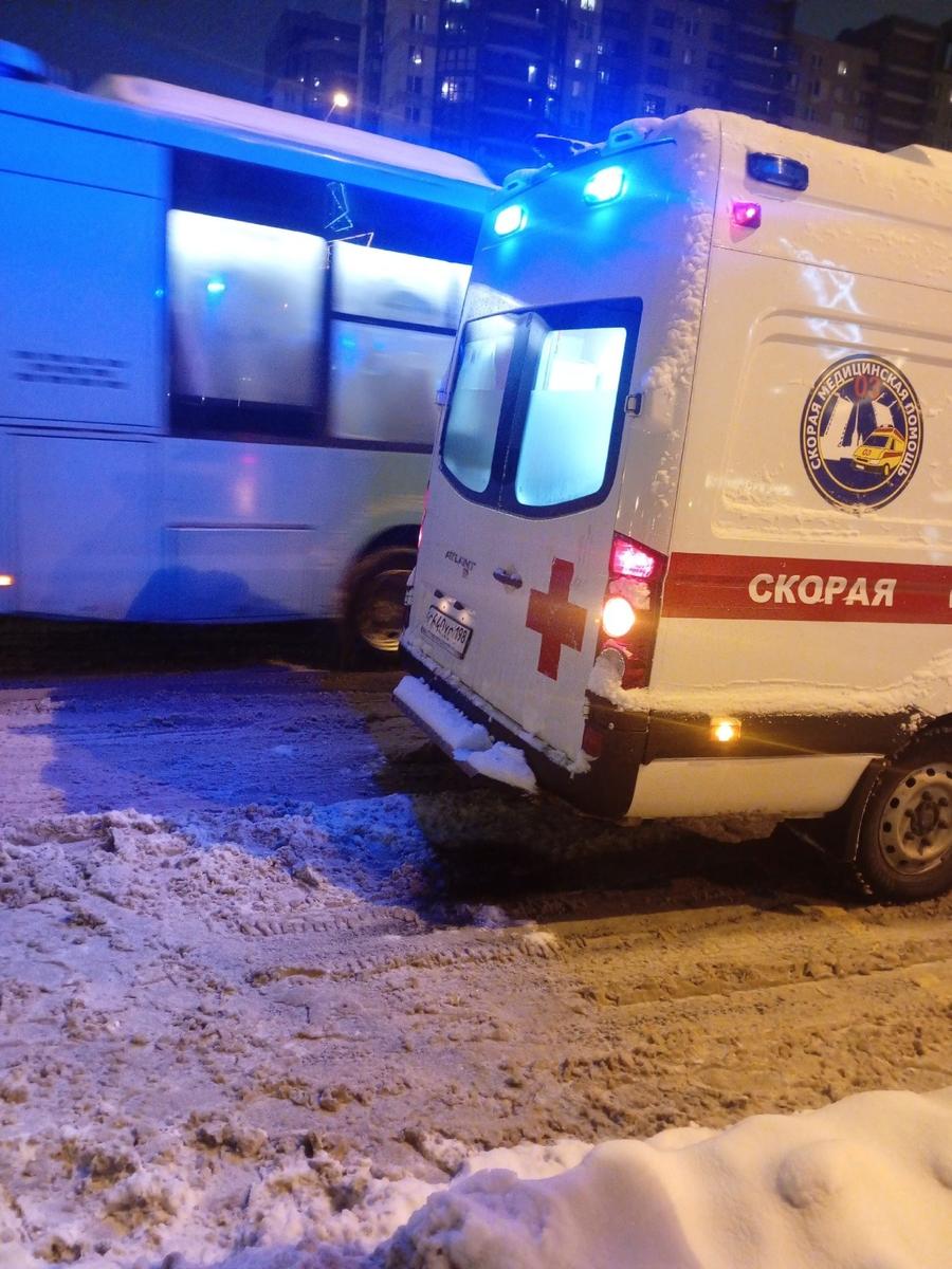 Фото: Живём на Васильевском / ВКонтакте