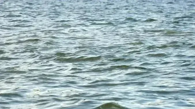 Двух тонущих девочек-подростков спасли на Верхнем Суздальском озере