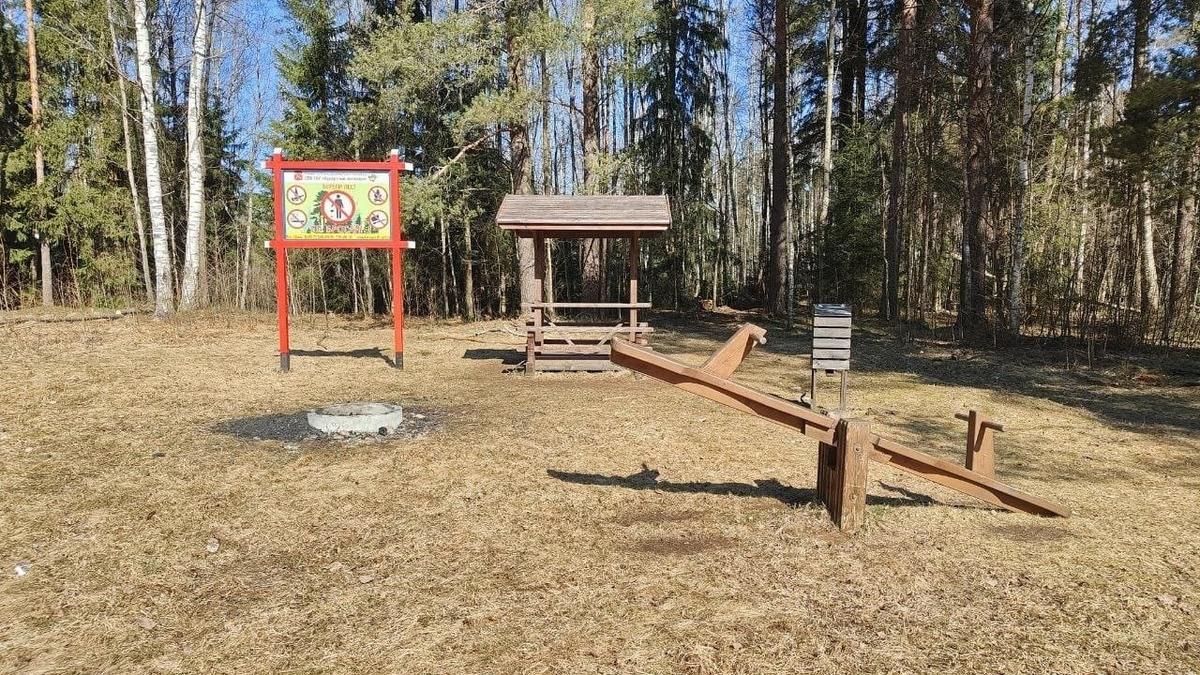 Фото: ГКУ «Курортный лесопарк»