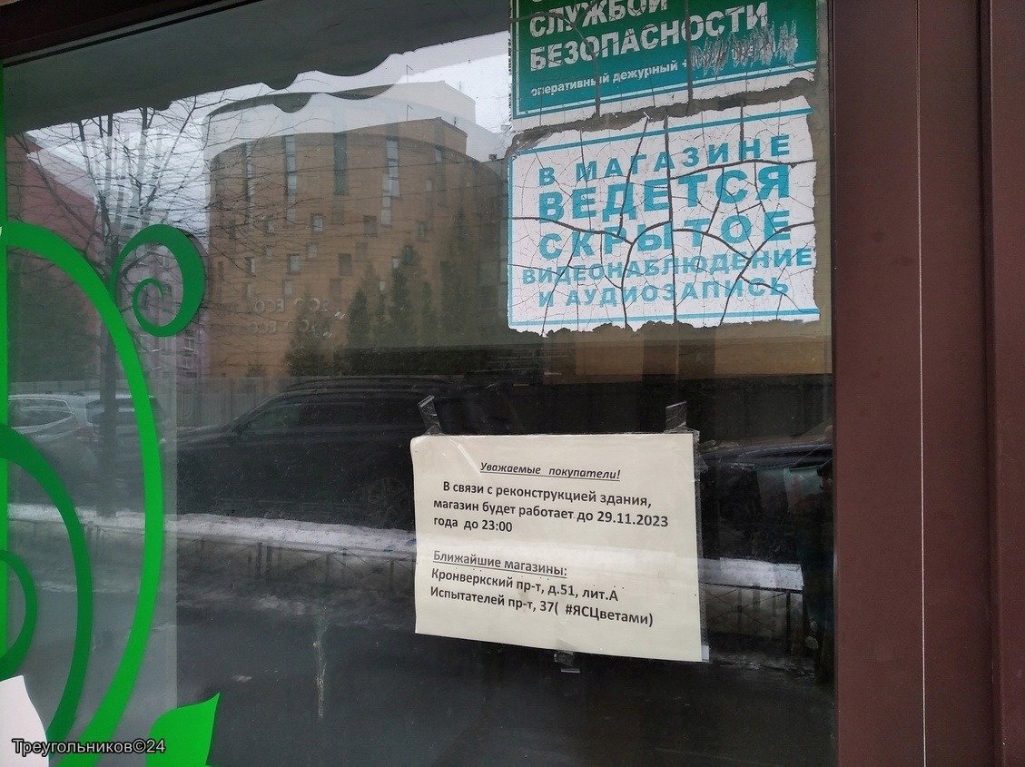 Фото: Александр Треугольников