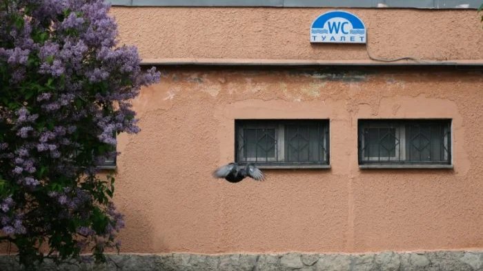 Фото: Никита Глазрин / MR7