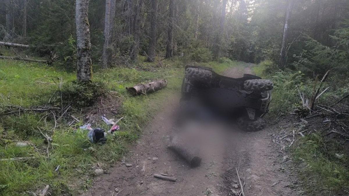 Фото: ГУ МВД по Петербургу и Ленобласти