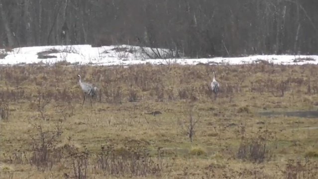 Фото: пресс-служба администрации Ленобласти