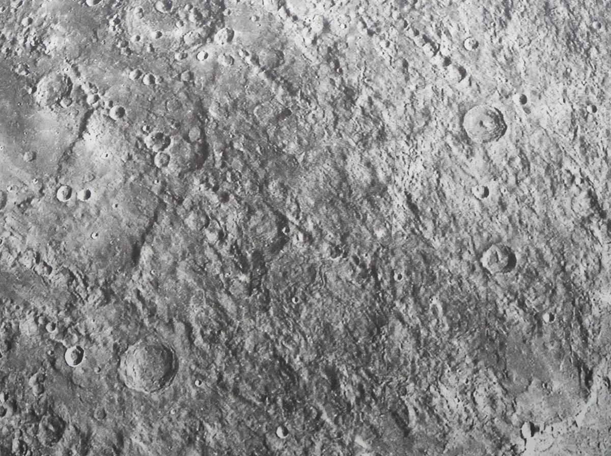 Фото: Дмитрий Абрамов / MR7