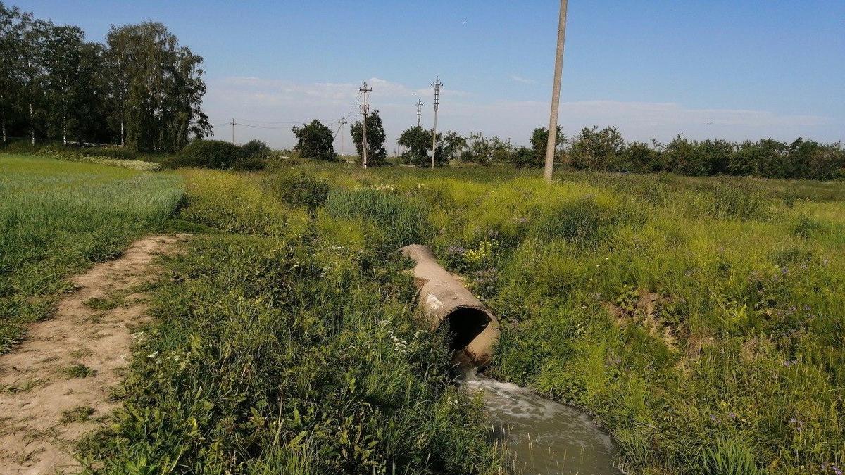 Фото: Ирина Металиди