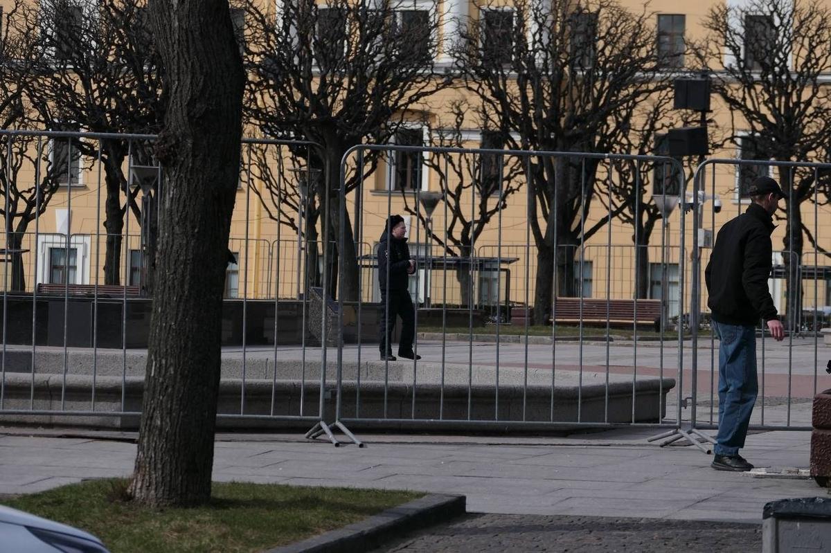 Фото: Дарья Дмитриева / МР7