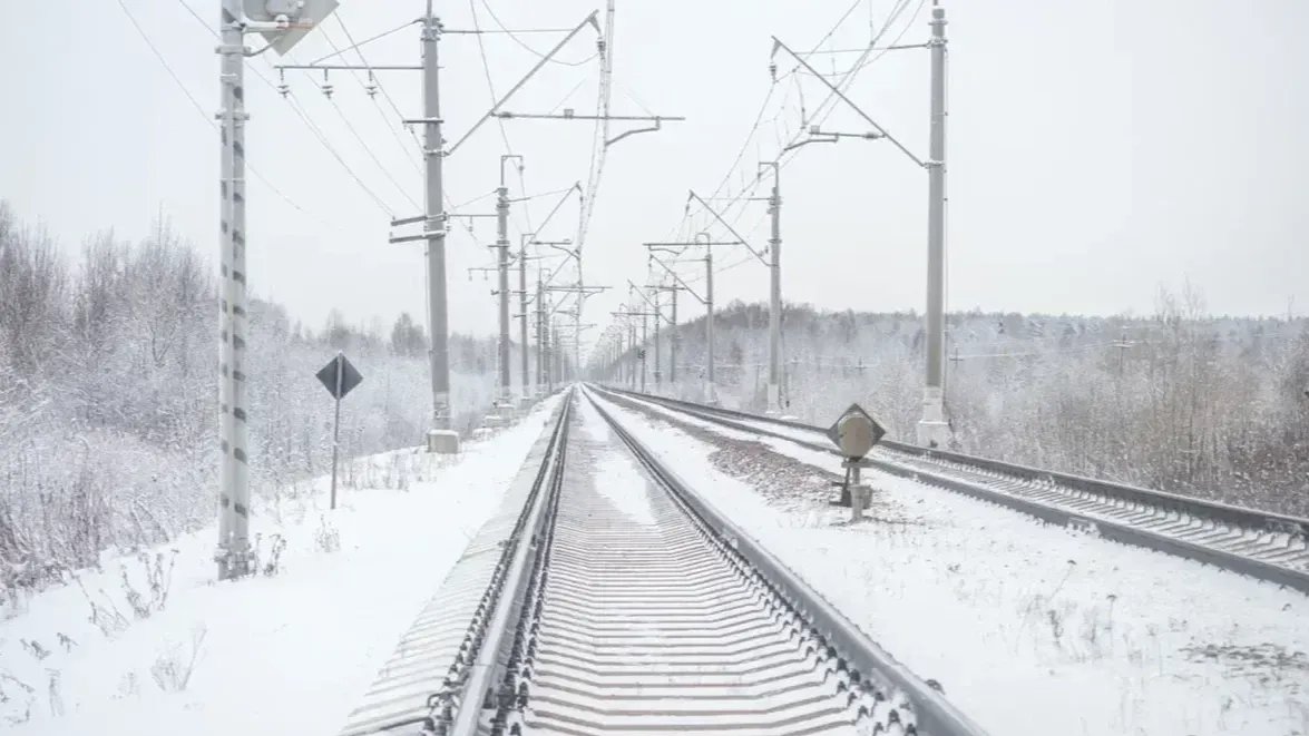 Фото: Олег Золото / MR7