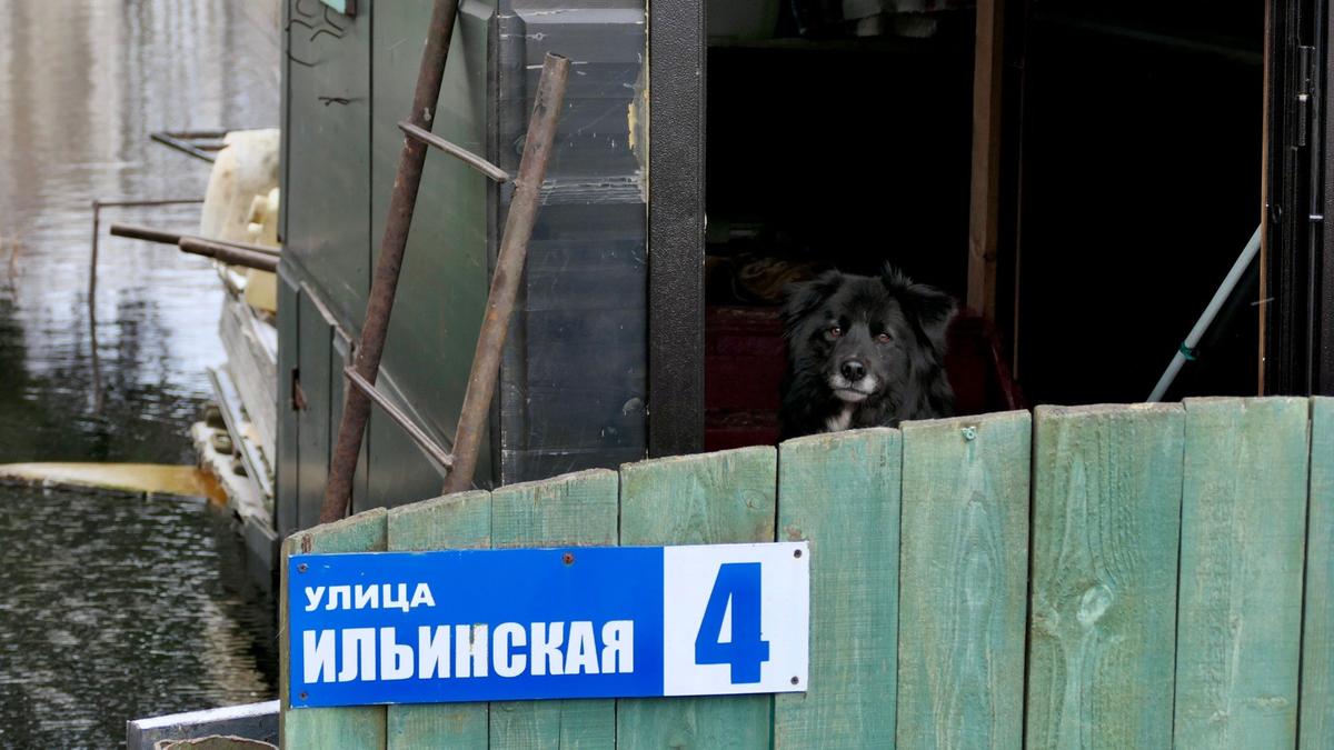 Фото: Павел Даиси / МР7