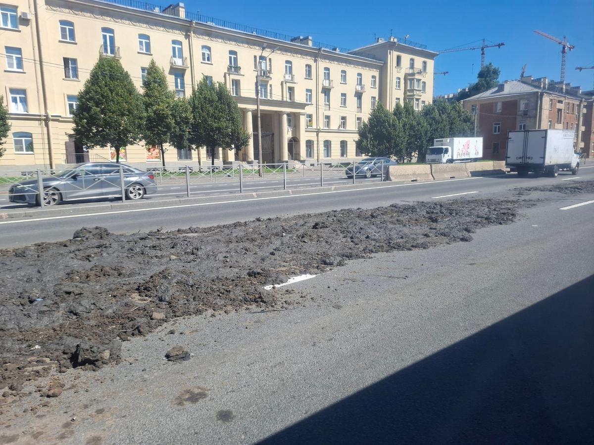 Фото: читатель МР7