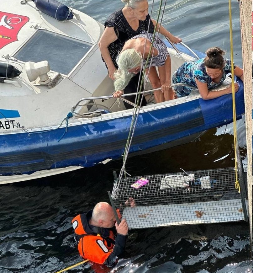 Попытка вызволить кота с помощью клетки. Фото: «Кошкиспас»