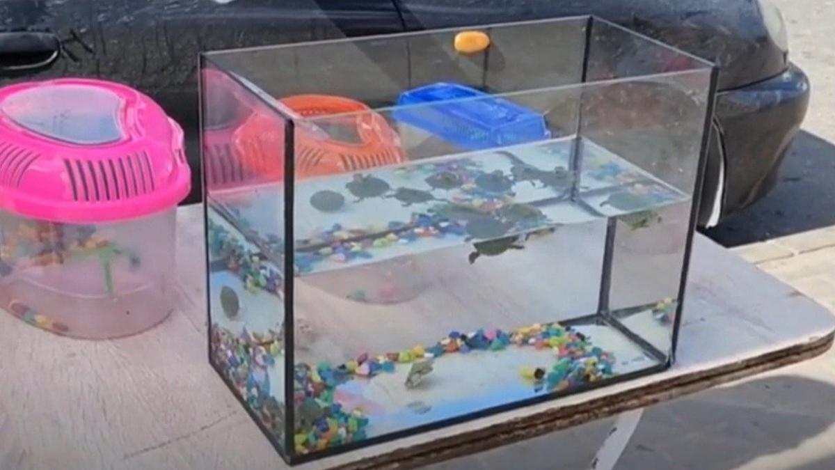 Фото: Росприроднадзор