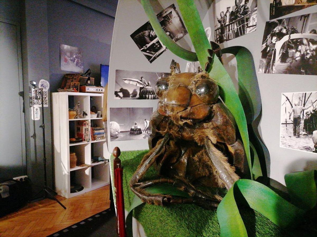 Фото: Елена Михина / MR7