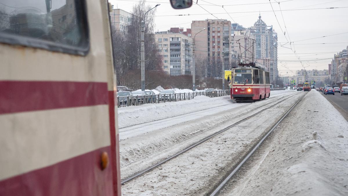 Трамвай сошёл с рельсов на проспекте Просвещения