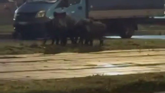 Скриншот видео: «Мегаполис»