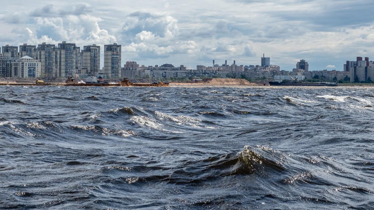 В деле по строительству северного намыва появились новые документы