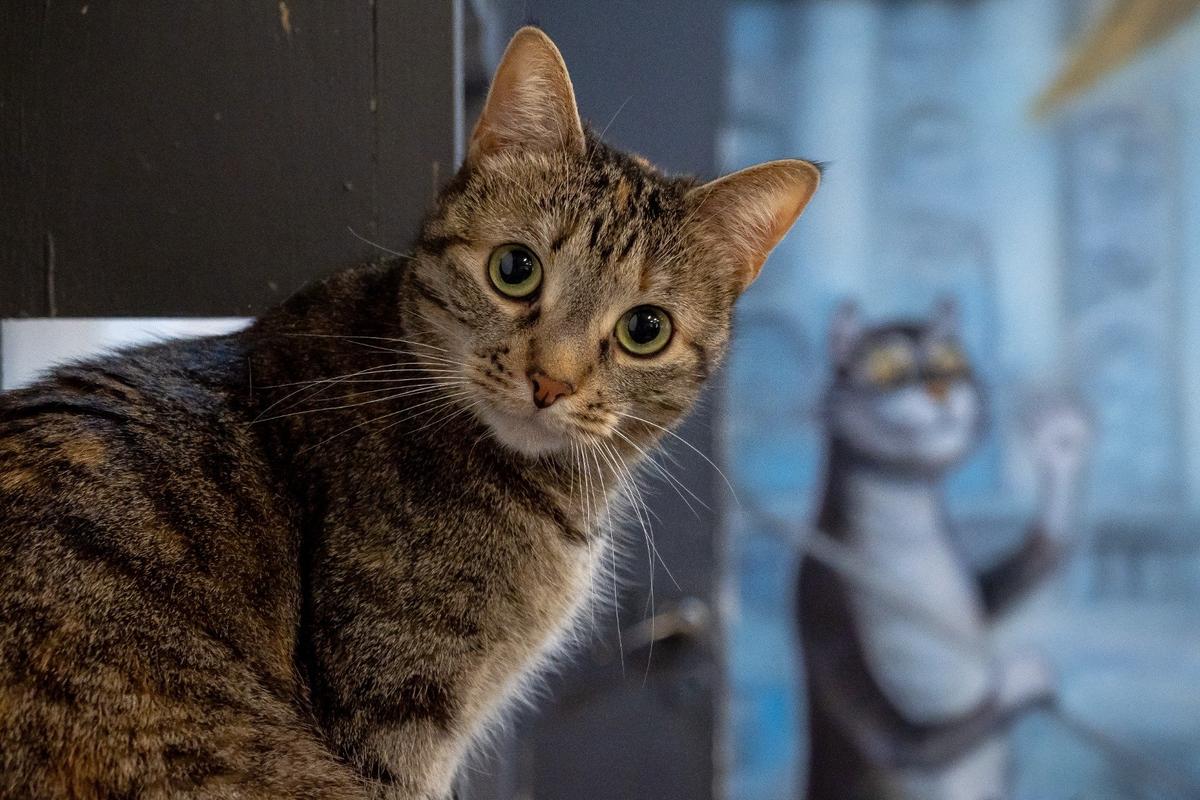 Фото: Олег Золото / MR7