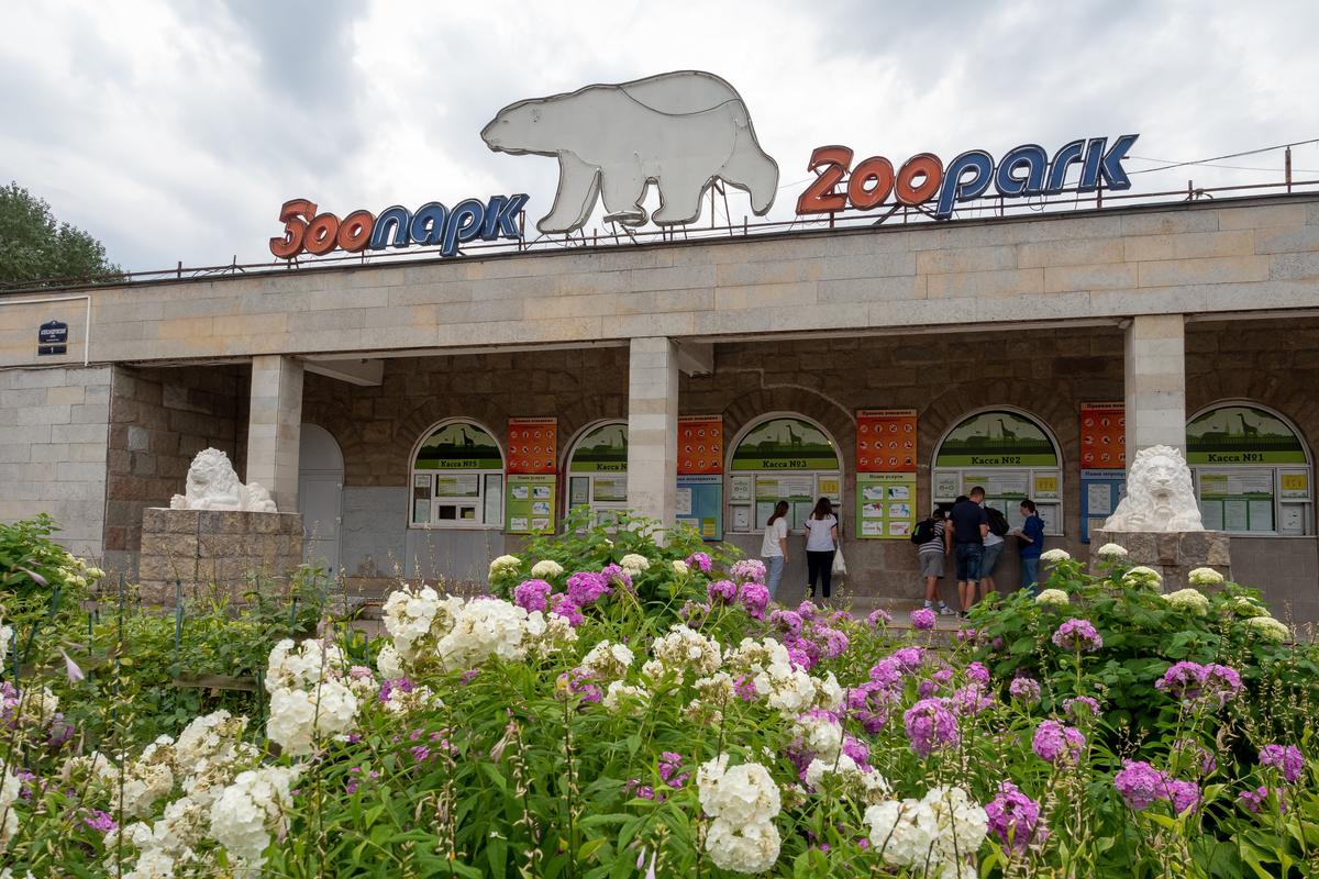 Фото: Олег Золото / MR7