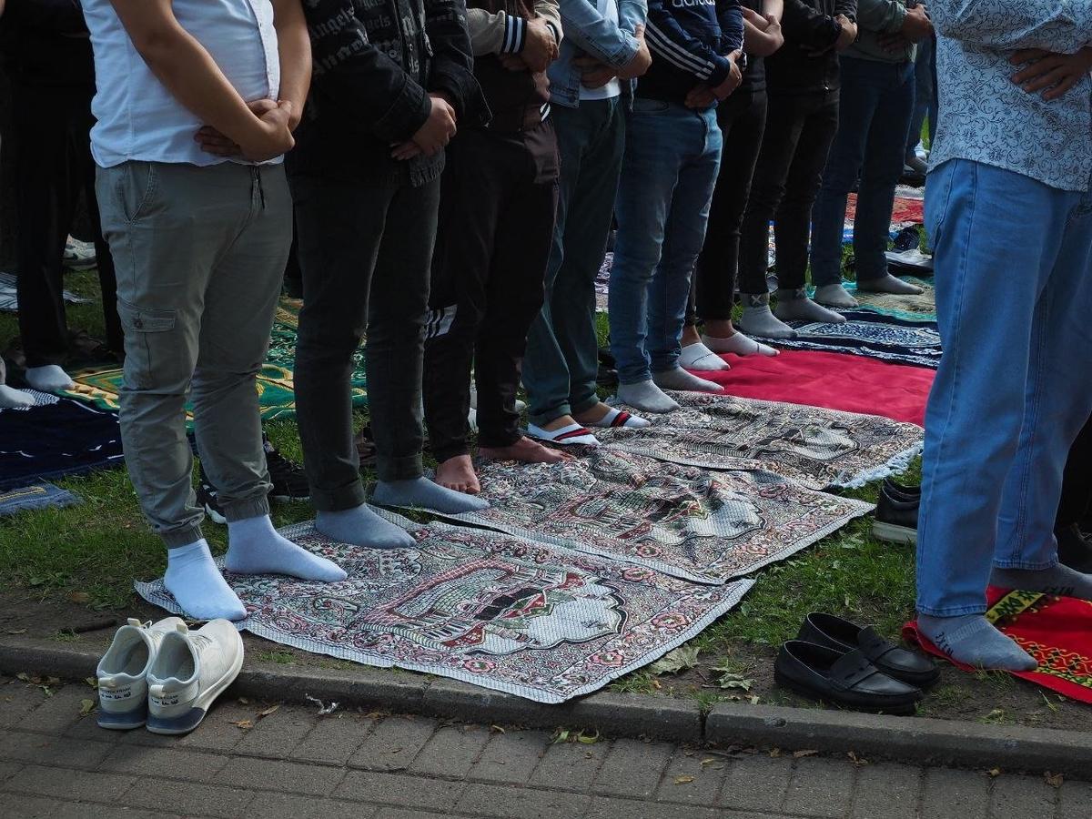 Фото: Дмитрий Абрамов / MR7