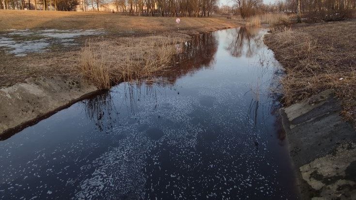 Фото: Алексей Зинчук (депутат ЗакСа СПб)