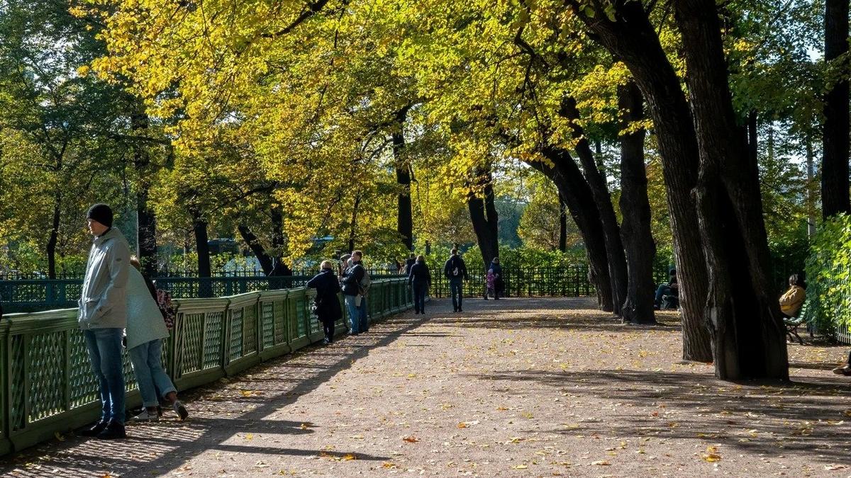 Фото: Олег Золото / MR7