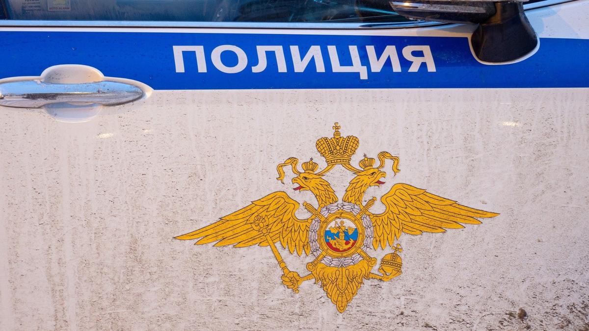 Фото: Дмитрий Абрамов / МР7