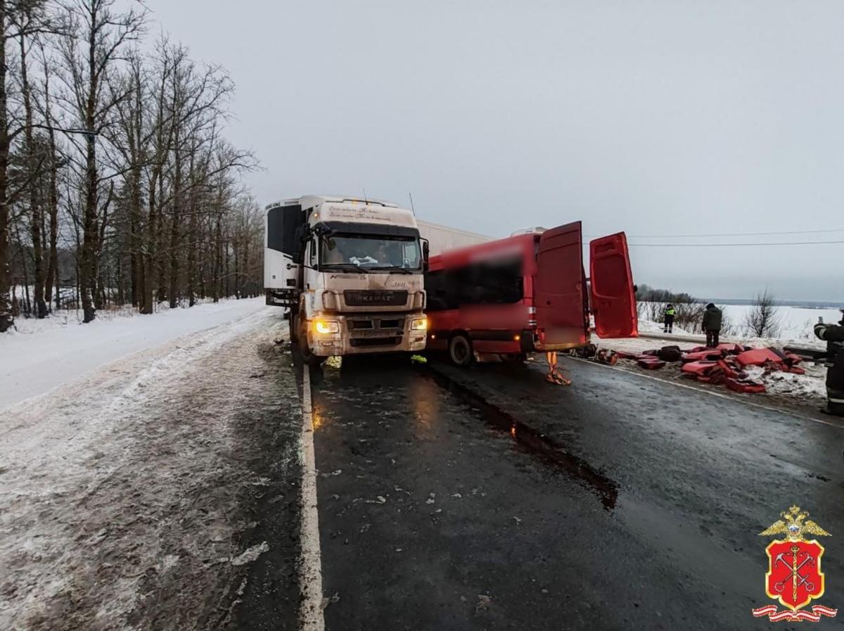 Фото: ГУ МВД России по Петербургу и Ленобласти