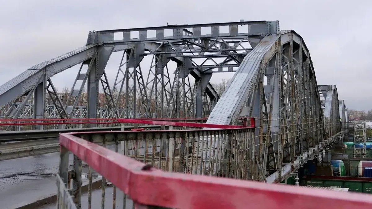 Фото: Дарья Дмитриева / МР7