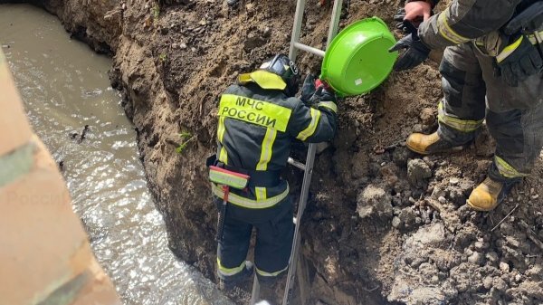 Сотрудники МЧС спасли девять утят, угодивших в глубокую яму в Сосновом Бору