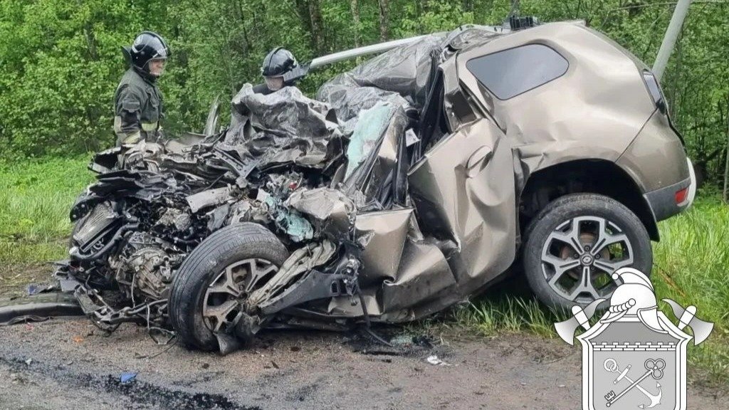 Фото: ГКУ «Леноблпожспас»