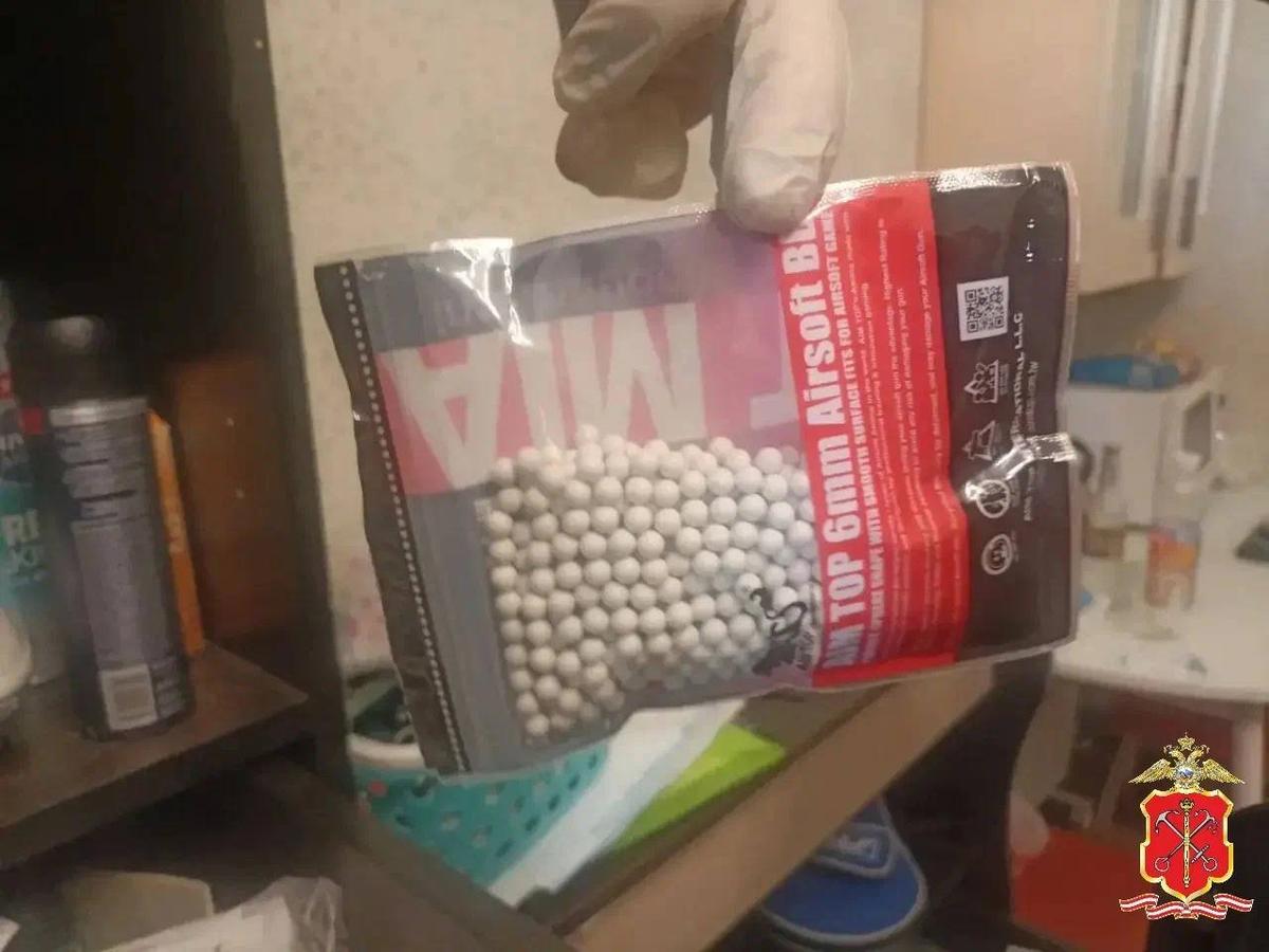 Фото: МВД по Петербургу и Ленобласти