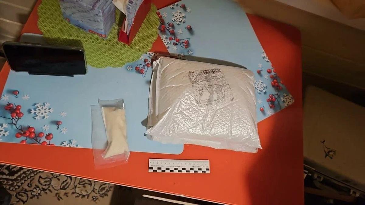 Петербуржца с крупной партией наркотиков задержали в квартире на Малой Митрофаньевской