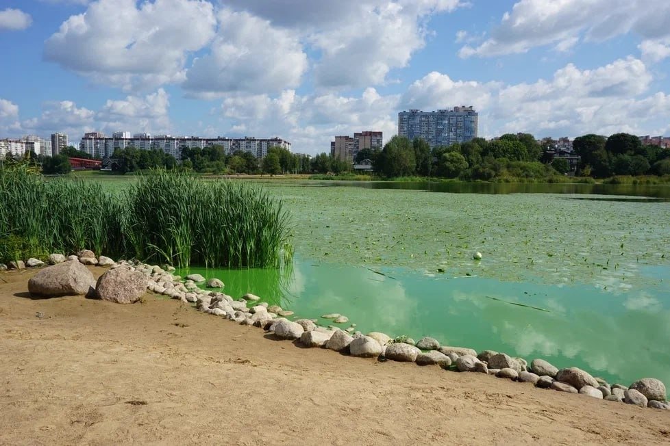 Нижнее Суздальское озеро. Фото: Елена Горных