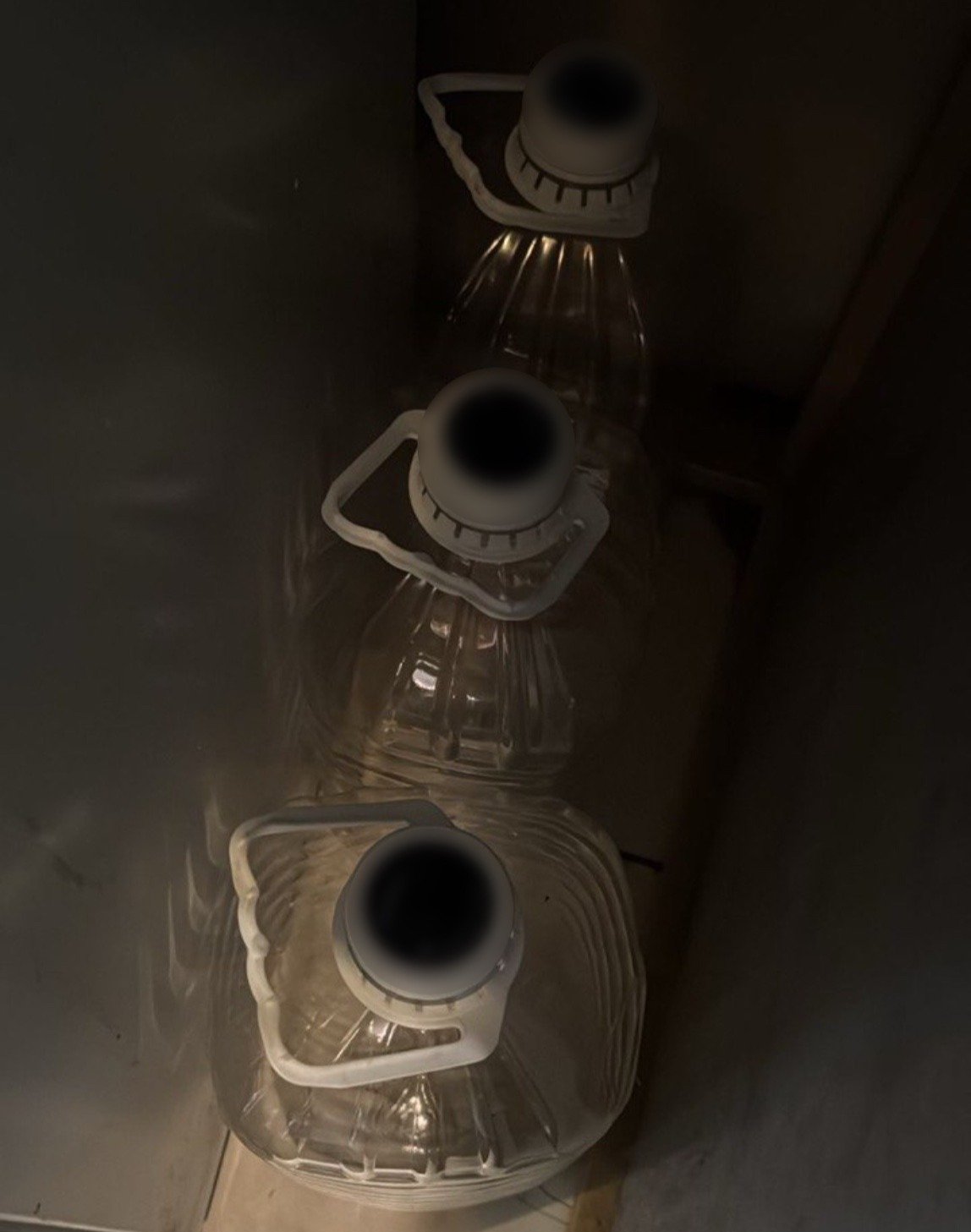 Фото: ГУ МВД по Петербургу и Ленобласти