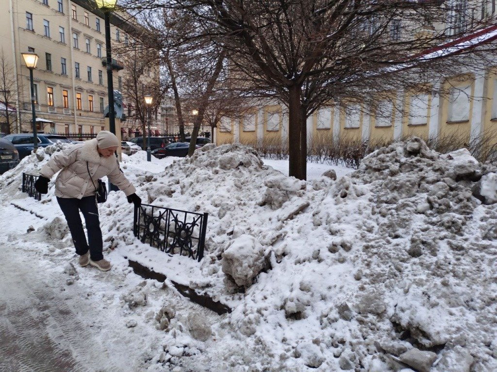 Кустарники завалили снегом. Фото: МО «Дворцовый округ»