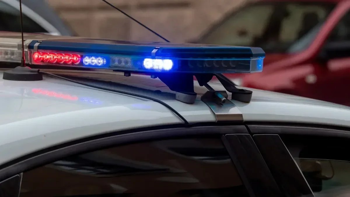 Фото: Олег Золото / МР7