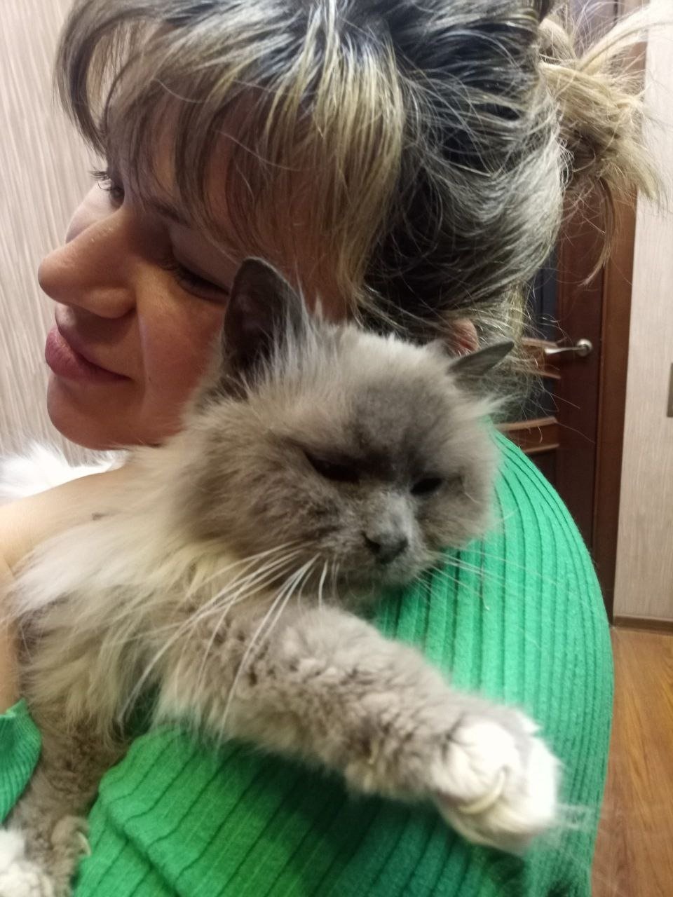 Фото: «Кошкиспас»