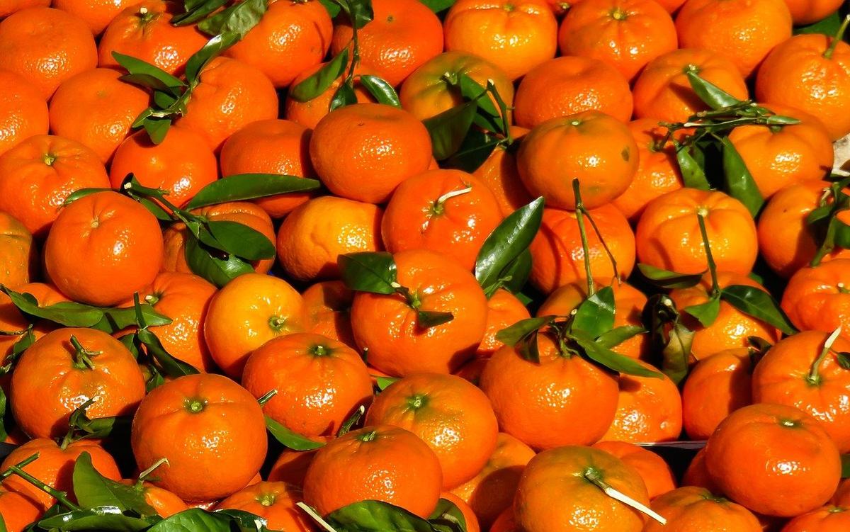 Фото: pixabay.com