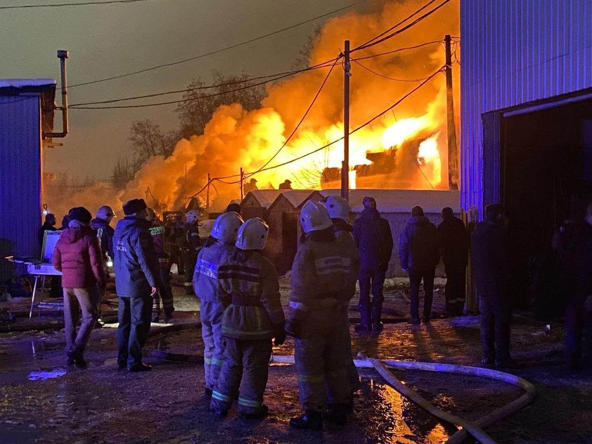 Фото: прислали читатели